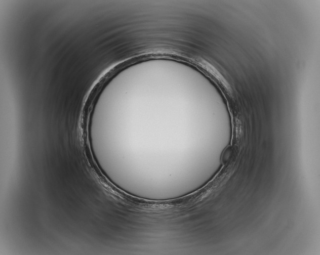 X0000116121068200911301322