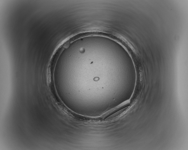 X0000116121069200911301322