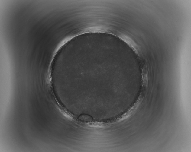 X0000116121070200911301322