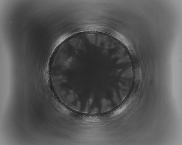 X0000116121071200911301322