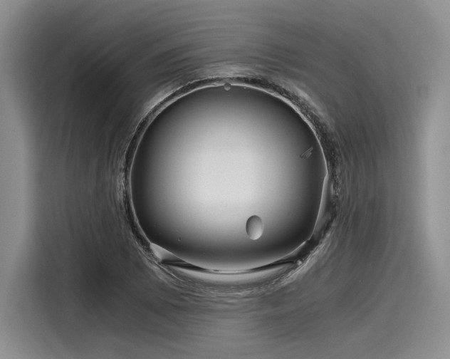 X0000116121073200911301322