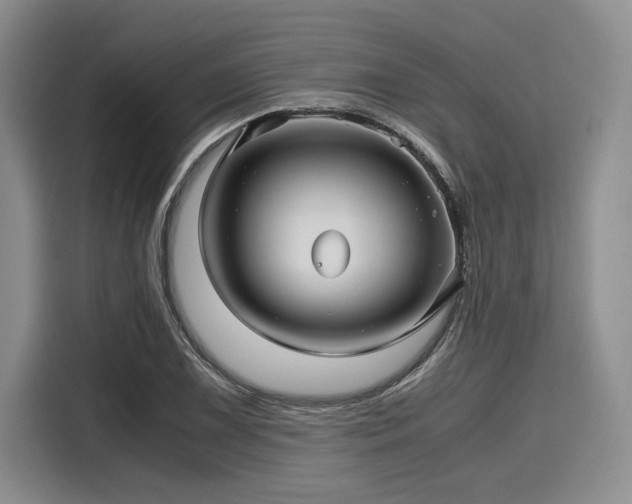 X0000116121075200911301322