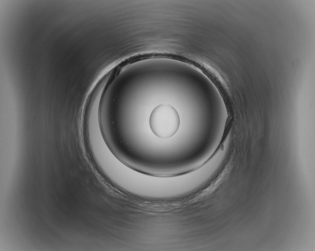 X0000116121077200911301322