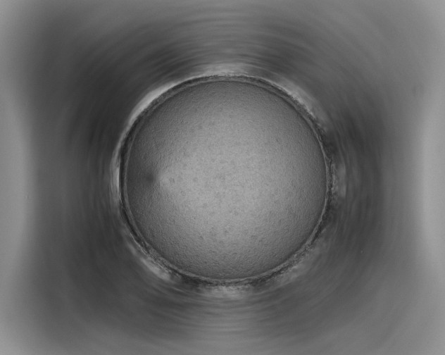 X0000116121078200911301322