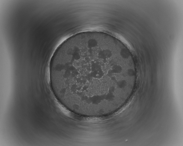 X0000116121079200911301322