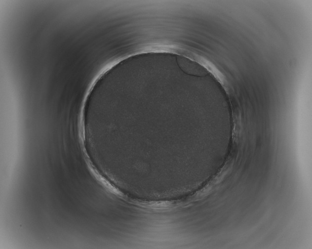 X0000116121080200911301322