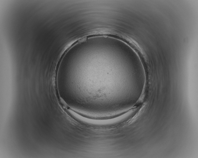 X0000116121081200911301322