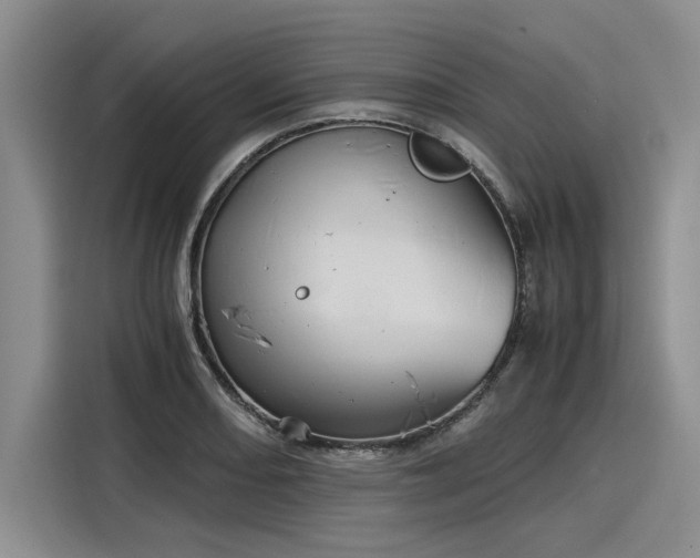 X0000116121082200911301322