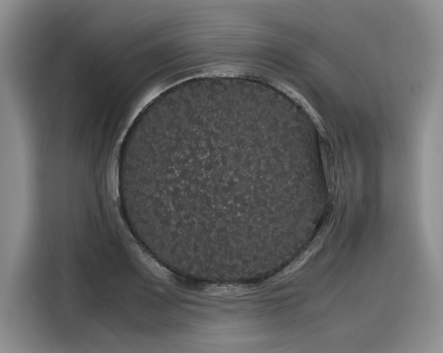 X0000116121083200911301322