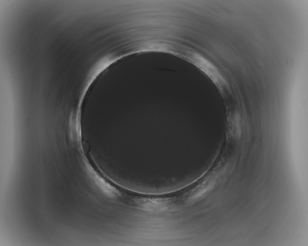 X0000116121084200911301322