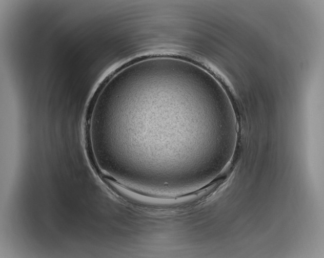 X0000116121085200911301322