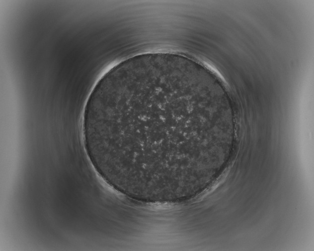 X0000116121087200911301322