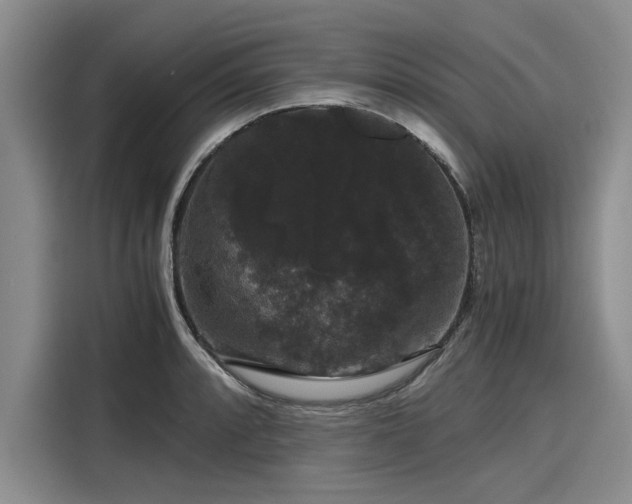 X0000116121088200911301322