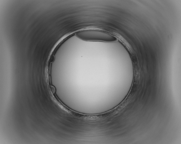 X0000116121092200911301322