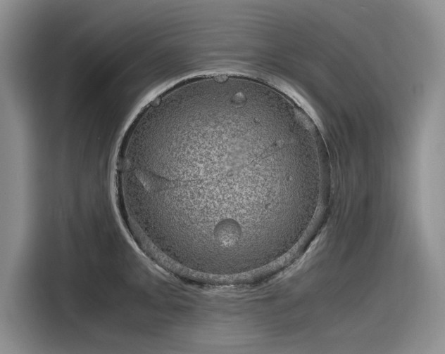 X0000116121093200911301322