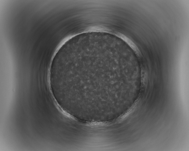 X0000116121094200911301322