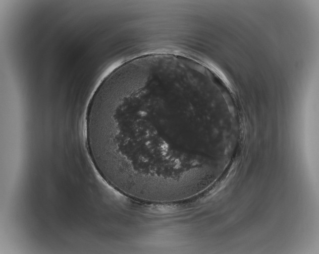 X0000116121095200911301322