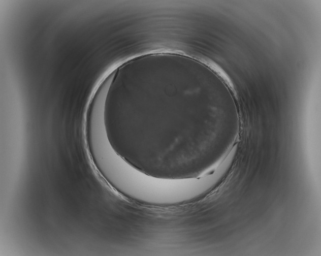 X0000116121096200911301322