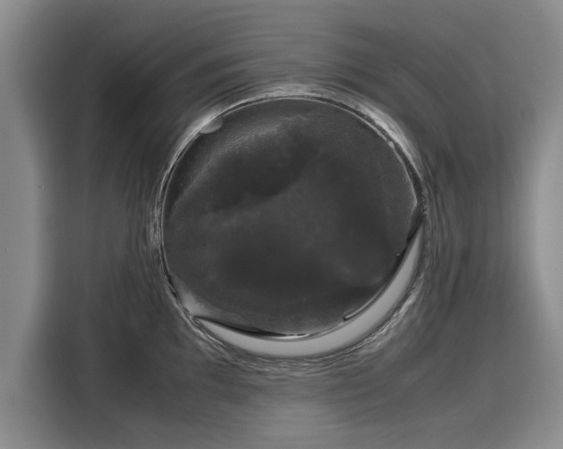 X0000116121097200911301322