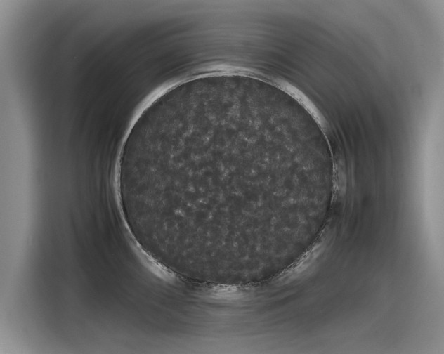 X0000116121098200911301322