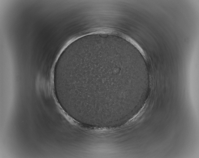 X0000116121099200911301322