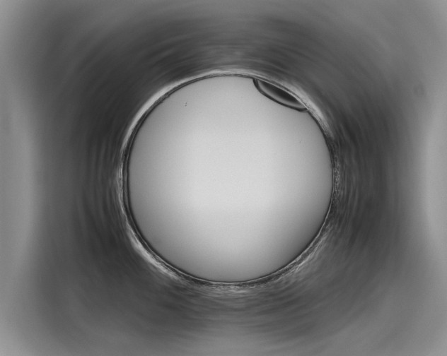 X0000116121100200911301322