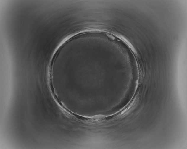 X0000116121101200911301322