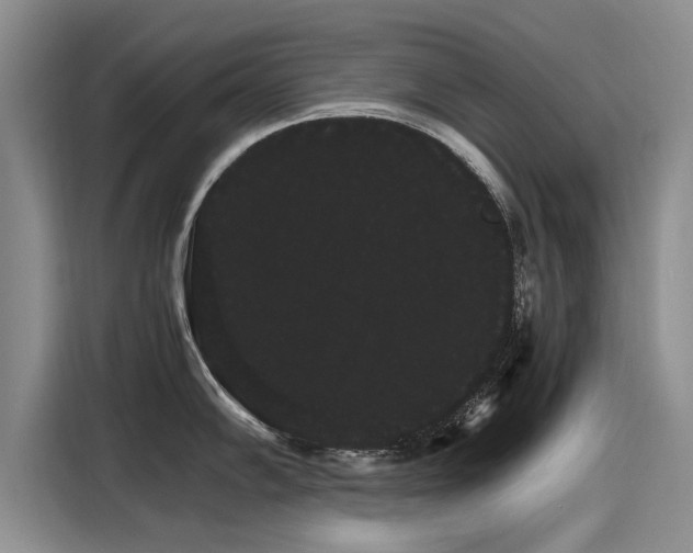 X0000116121102200911301322