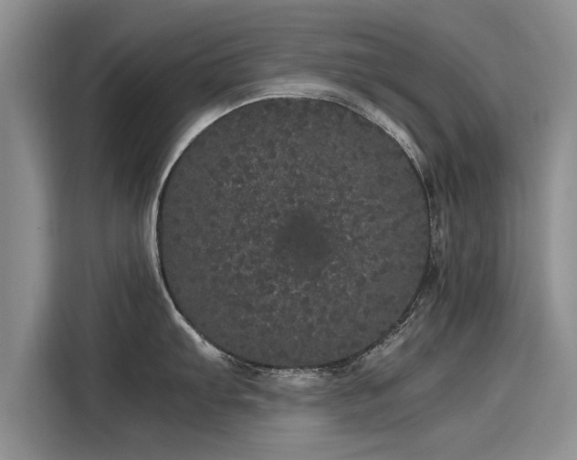 X0000116121103200911301322