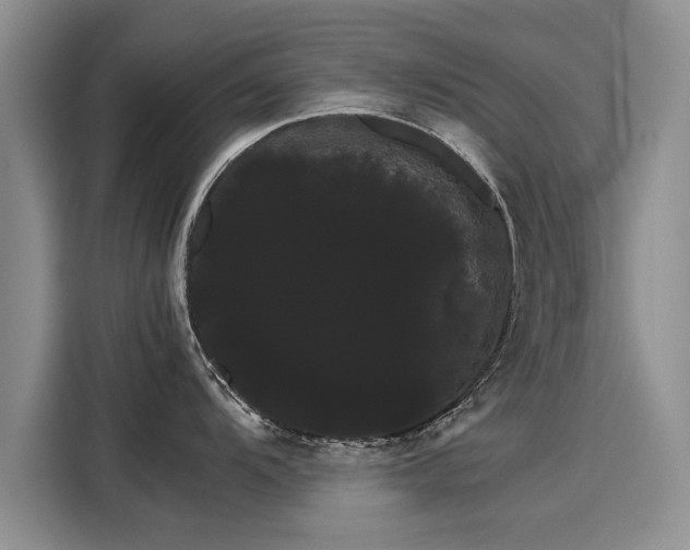 X0000116121104200911301322