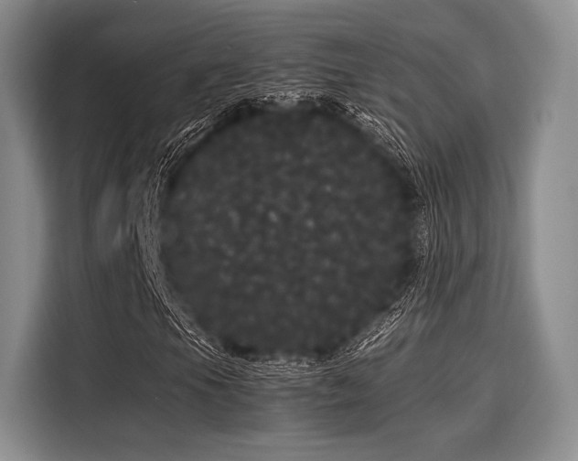 X0000116121105200911301321