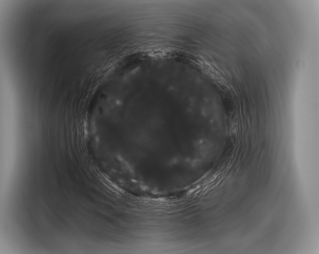 X0000116121106200911301321