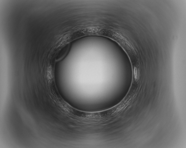 X0000116121107200911301321