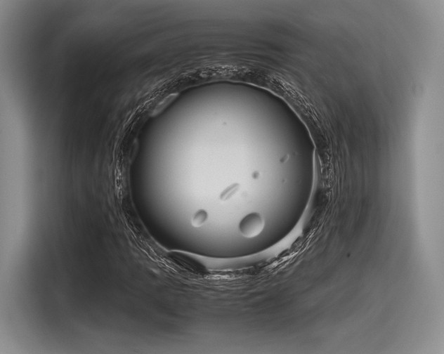 X0000116121109200911301321