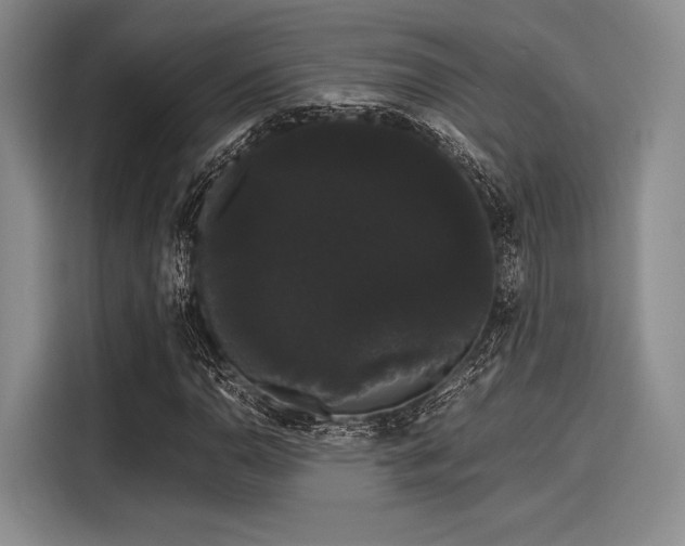 X0000116121110200911301321