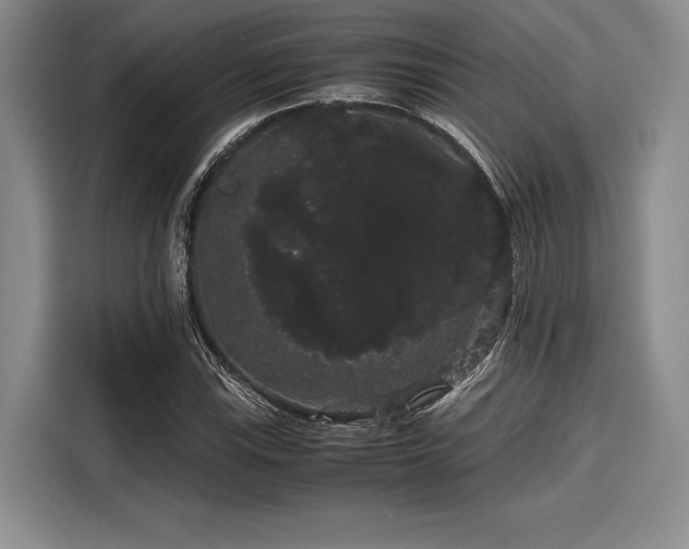 X0000116121115200911301321