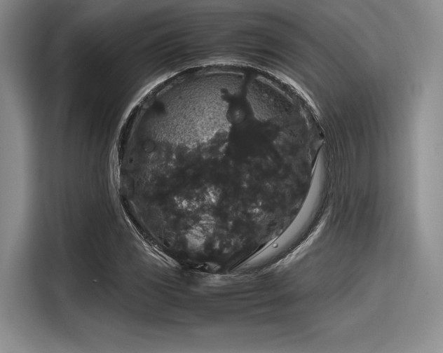 X0000116121117200911301321