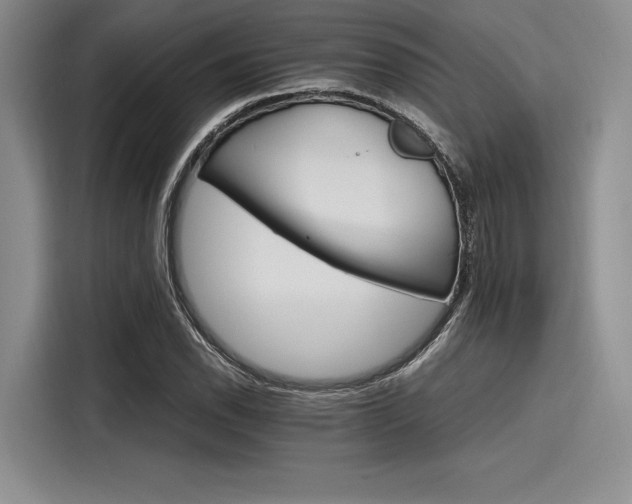 X0000116121118200911301321