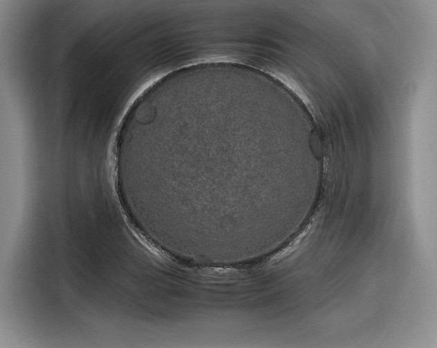 X0000116121119200911301321