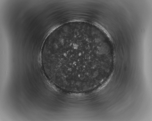 X0000116121121200911301321