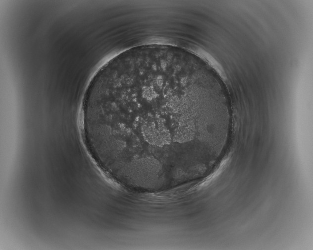 X0000116121125200911301321