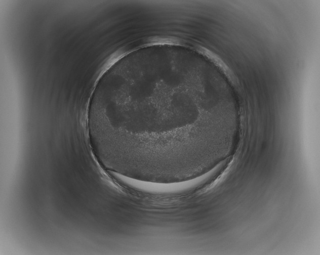 X0000116121129200911301322