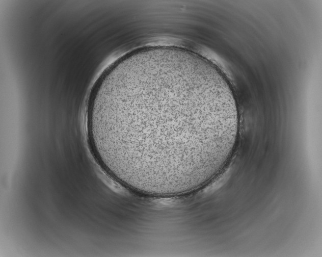 X0000116121130200911301322