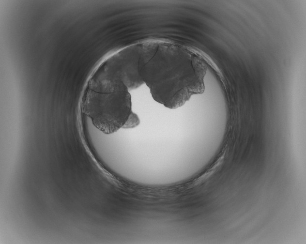 X0000116121133200911301322