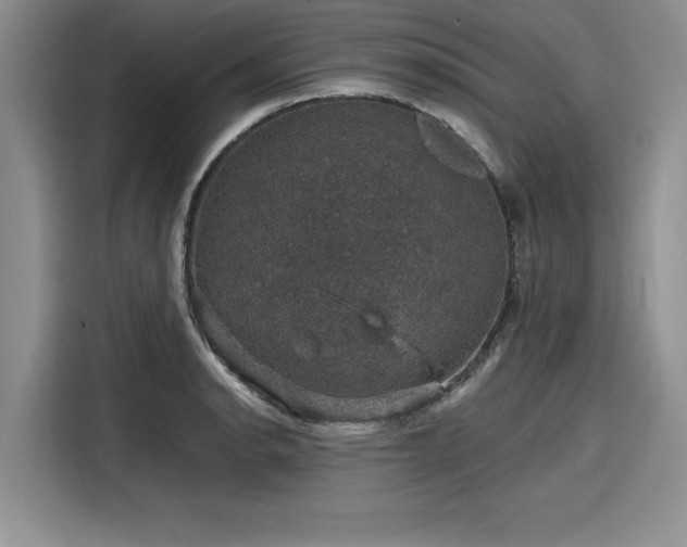 X0000116121134200911301322