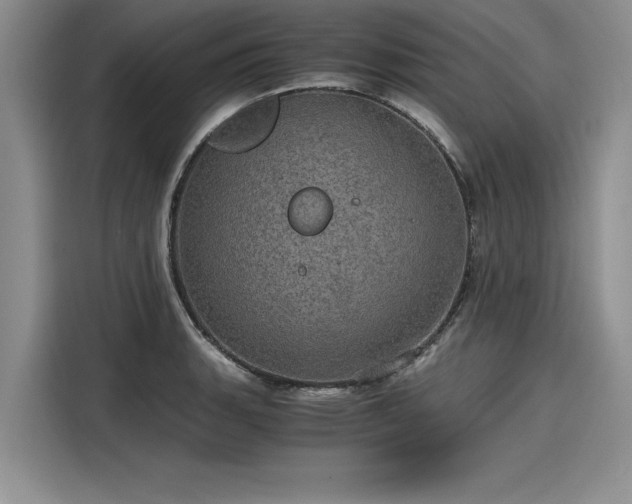 X0000116121135200911301322