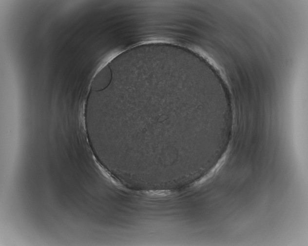 X0000116121137200911301322