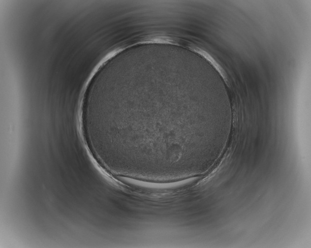 X0000116121139200911301322