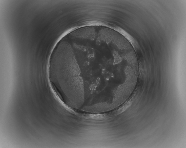 X0000116121142200911301322