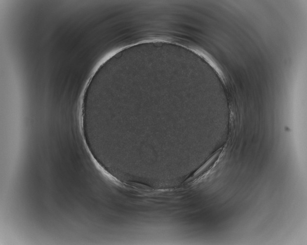 X0000116121143200911301322